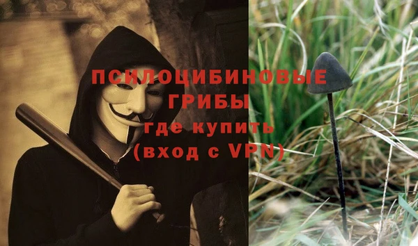 тгк Алексин