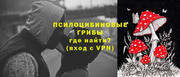 тгк Алексин